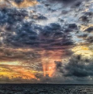 Meet your Posher, Kathryn